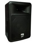 Peavey PR 12D