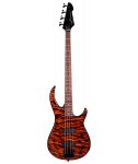 Peavey Millennium 4 AC BXP TigerEye