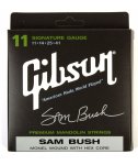 Gibson Gibson Sam Bush Signature Mandolin .011-.041 SMG-SBS - struny