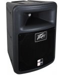 Peavey PR 10 P