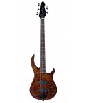 Peavey Millennium 5 AC BXP Tiger Eye